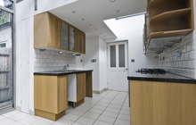 Hutchesontown kitchen extension leads